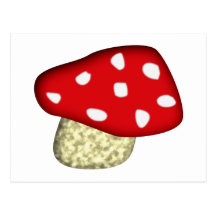 Fliegenpilz toadstool postkarte