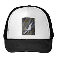 Flight.jpg Gorros