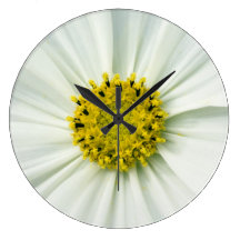 Flor