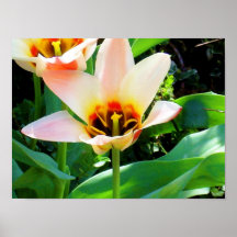 Flor 1 impresiones