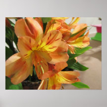 Flor 1 posters