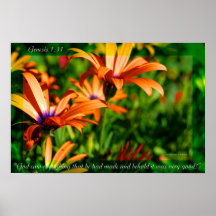 Flor 20 de la génesis poster
