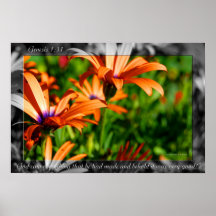 Flor 22 de la génesis posters