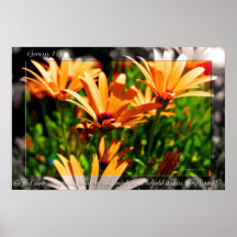 Flor 32 de la génesis poster