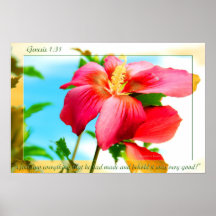 Flor 45 de la génesis poster