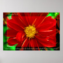 Flor 48 de la génesis poster