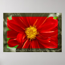 Flor 52 de la génesis poster