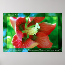 Flor 5 de la génesis posters