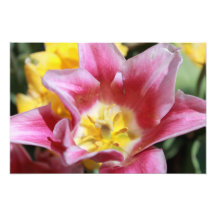 Flor 8 arte con fotos