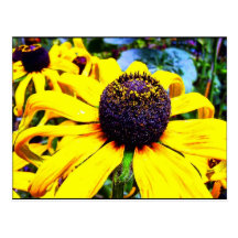 Flor amarilla brillante: Funchal, Portugal Tarjetas Postales