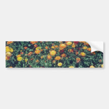 flor amarilla de la maravilla de pote (Calendula O Pegatina De Parachoque
