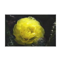 Flor amarilla del cactus en la impresión oscura de impresion en lona