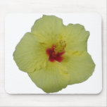 flor amarilla del hibisco alfombrillas de raton
