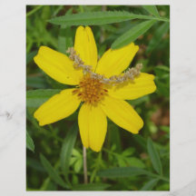 Flor amarilla en la hierba tarjetas publicitarias