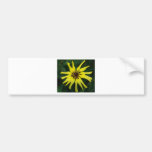 Flor amarilla etiqueta de parachoque