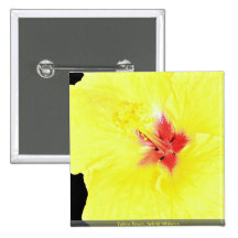 Flor amarilla, hibisco híbrido pins