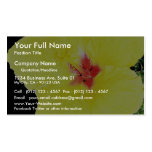 Flor amarilla, hibisco híbrido plantillas de tarjetas personales