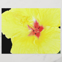 Flor amarilla, hibisco híbrido tarjeton