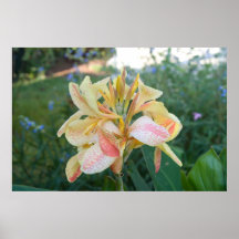 Flor amarilla posters