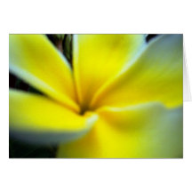 Flor amarilla tarjeta