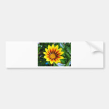 Flor amarillo y rojo soleado de la flor pegatina de parachoque