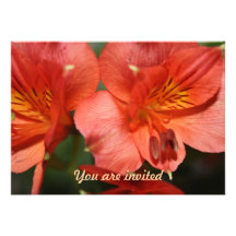 Flor anaranjada del Alstroemeria le invitan Invitación