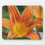 Flor anaranjada Mousepad Tapete De Ratones