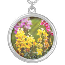Flor - Antirrhinum - tolerancia Joyerías