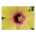 Flor ascendente cercana del amarillo felicitacion 