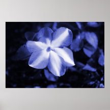 Flor azul monocromática impresiones