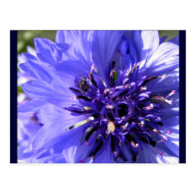 Flor azul postal