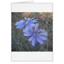 Flor azul tarjetas