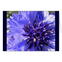 Flor azul tarjeton