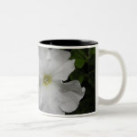Flor blanca de la petunia tazas de café