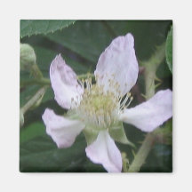 Flor blanca imán de frigorifico
