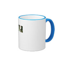 Flor blanca salvaje tazas