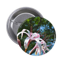 Flor blanca y rosada de Bermudas Pins
