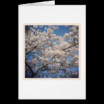 Flor blanco tarjetas