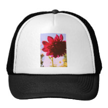 Flor carmesí gorro de camionero