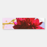 Flor carmesí pegatina de parachoque