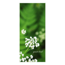 flor comunicados