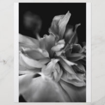 Flor de B&W Tarjeta Publicitaria