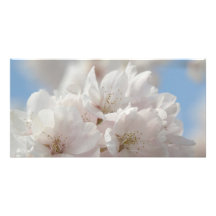 Flor de cerezo de la primavera tarjeta personal