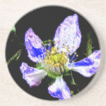 Flor de Digitaces posavasos
