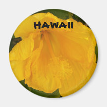 Flor de Hawaii Imanes