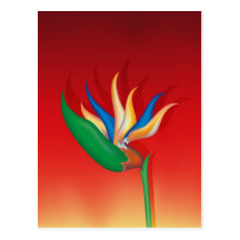 Flor de Heliconia Postal