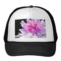 Flor de la cebolleta en aceite gorros  