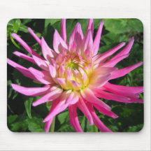 Flor de la dalia - Mousepad Alfombrillas De Ratón