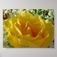 Flor de la graduación impresiones