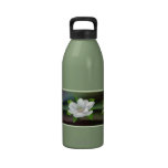 Flor de la magnolia botella de agua reutilizable